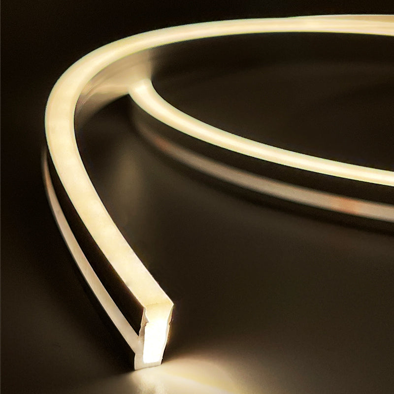 LED Лента гибкая NEON